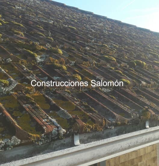 Construcciones Salomón