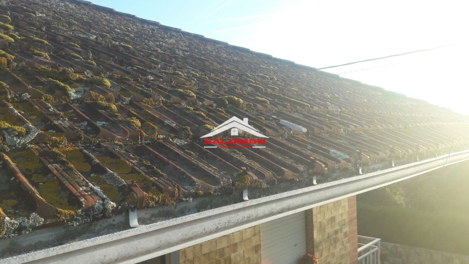 Construcciones Salomón