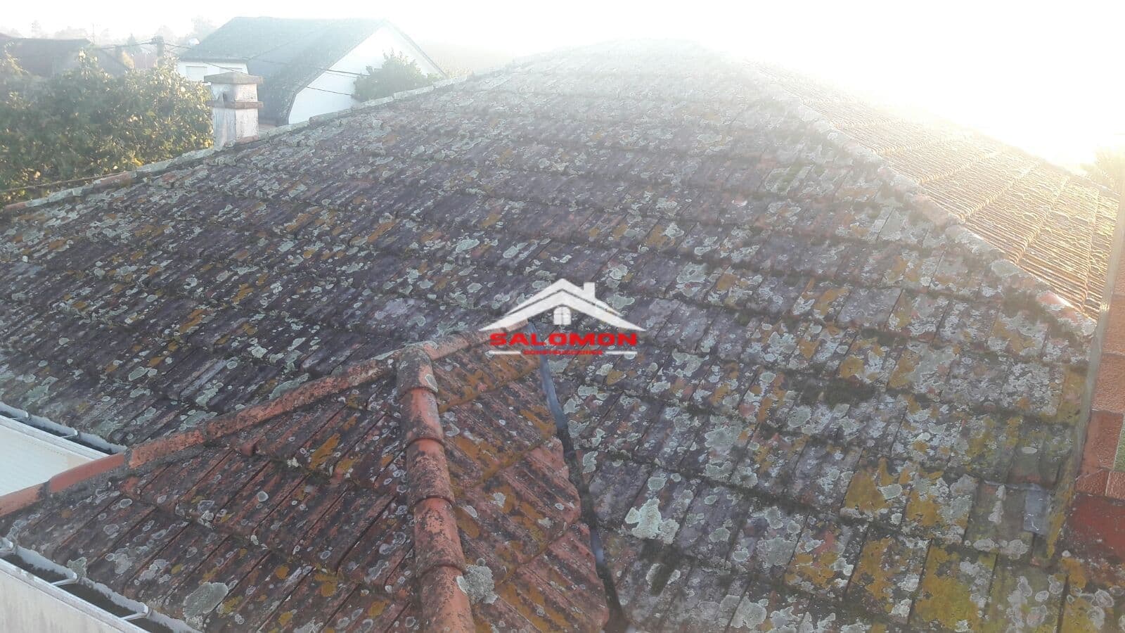 Construcciones Salomón